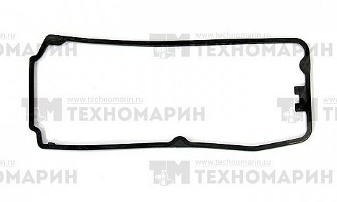 Прокладка клапанной крышки BRP 1503 007-399-06